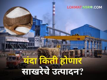 Sugarcane Factory : गाळप घटले पण वर्षाअखेर किती होणार साखरेचे उत्पादन? कारखान्यांकडे किती राहिली थकबाकी? - Marathi News | maharashtra agriculture sugarcane production decreased but how much sugar will be produced at the end of the year | Latest agriculture News at Lokmat.com Sugarcane Factory : गाळप घटले पण वर्षाअखेर किती होणार साखरेचे उत्पादन? कारखान्यांकडे किती राहिली थकबाकी? - Marathi News | maharashtra agriculture sugarcane production decreased but how much sugar will be produced at the end of the year | Latest agriculture News at Lokmat.com