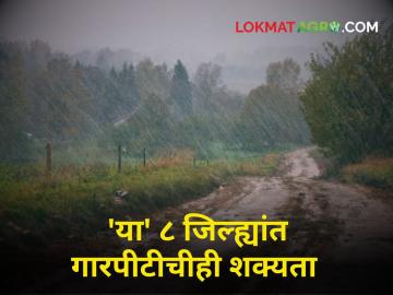पुढील ४ दिवसांत 'या' ८ जिल्ह्यांत अवकाळी अन् गारपीटीची शक्यता - Marathi News | Unseasonal weather spread in 8 districts from today possibility hailstorm heavy rain | Latest agriculture News at Lokmat.com