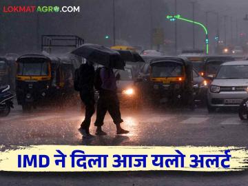 Maharashtra Weather Update : पावसाची 'धार' आजपासून कमी होणार का? IMD रिपोर्ट वाचा सविस्तर - Marathi News | Maharashtra Weather Update : Will the rainfall reduce from today? Read the IMD report in detail | Latest News at Lokmat.com