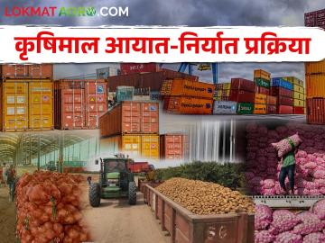 आयात निर्यात व्यवसाय कसा सुरु करावा? यासाठी काय कागदपत्रे लागतात - Marathi News | How to start import export business? What documents are required for this? | Latest News at Lokmat.com आयात निर्यात व्यवसाय कसा सुरु करावा? यासाठी काय कागदपत्रे लागतात - Marathi News | How to start import export business? What documents are required for this? | Latest News at Lokmat.com