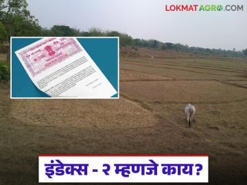 Index 2 : इंडेक्स 2 म्हणजे काय, मालमत्तेसाठी इंडेक्स 2 कसा मिळवायचा, यात आणि सातबारात फरक काय?  - Marathi News | Latest News Jamin Kharedi What is Index 2, how to get इंडेक्स 2 for property, difference between satbara or index 2 | Latest smart-farming News at Lokmat.com