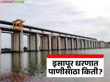 Isapur Dam Water: इसापूर धरणात ८० टक्के पाणीसाठा; उस-केळीचे क्षेत्र बहरणार वाचा सविस्तर - Marathi News | latest news Isapur Dam Water: 80 percent water storage in Isapur Dam; Sugarcane and banana fields will flourish, read in detail | Latest News at Lokmat.com Isapur Dam Water: इसापूर धरणात ८० टक्के पाणीसाठा; उस-केळीचे क्षेत्र बहरणार वाचा सविस्तर - Marathi News | latest news Isapur Dam Water: 80 percent water storage in Isapur Dam; Sugarcane and banana fields will flourish, read in detail | Latest News at Lokmat.com