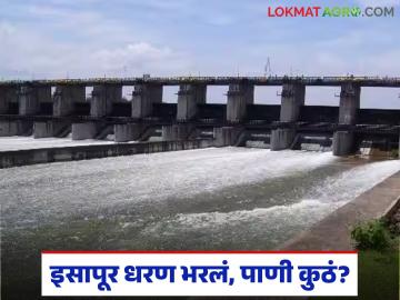 Isapur Dam : इसापूर धरण १०० टक्के भरलं; पाणीपाळीचे नियोजन कोलमडलं वाचा सविस्तर - Marathi News | latest news Isapur Dam: Isapur Dam 100 percent full; Irrigation planning collapsed Read in detail | Latest News at Lokmat.com