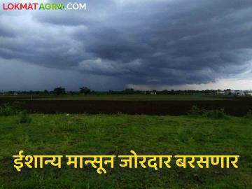 Maharashtra Weather Update : ऑक्टोबर महिन्यात यंदा चांगल्या पावसाचे संकेत कसा आणि किती पडेल पाऊस? वाचा सविस्तर - Marathi News | Maharashtra Weather Update : Signs of good rain this October How and how much rain will fall? Read in detail | Latest News at Lokmat.com