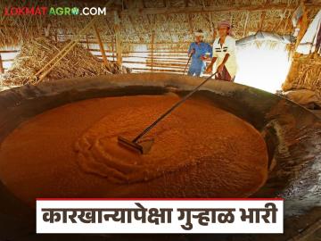 अधिक बाजारभावामुळे कारखान्यांपेक्षा गुऱ्हाळघरेच भारी; ऊस उत्पादकांचा गुऱ्हाळाकडे कल वाढला - Marathi News | Due to higher market prices, sugarcane farms are more expensive than factories; Sugarcane growers' inclination towards sugarcane farms has increased | Latest News at Lokmat.com