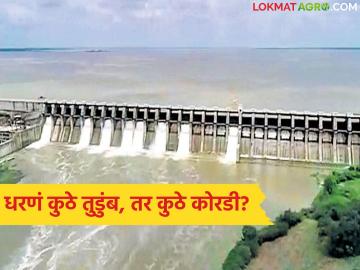 Dam Water Level : अमरावतीत पाण्यासाठी संघर्ष; मराठवाड्यात धरणं तुडुंब- कारण काय? - Marathi News | latest news Dam Water Level: Struggle for water in Amravati; Dams collapse in Marathwada - what is the reason? | Latest News at Lokmat.com