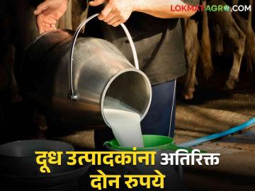 Dudh Anudan : जळगावातील दूध उत्पादकांना दोन रुपये अतिरिक्त मिळणार, जाणून घ्या सविस्तर  - Marathi News | Latest News Dudh Anudan Milk producers in Jalgaon will get two rupees extra, know in detail  | Latest News at Lokmat.com