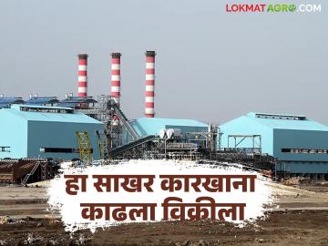 कुलूपबंद असलेल्या 'या' कारखान्याला नवसंजीवनी मिळणार, जिल्हा बँकेचा विक्री करण्याचा निर्णय - Marathi News | Latest News Efforts to revive the Vasant Cooperative Sugar Factory gain momentum by jalgaon district bank | Latest News at Lokmat.com कुलूपबंद असलेल्या 'या' कारखान्याला नवसंजीवनी मिळणार, जिल्हा बँकेचा विक्री करण्याचा निर्णय - Marathi News | Latest News Efforts to revive the Vasant Cooperative Sugar Factory gain momentum by jalgaon district bank | Latest News at Lokmat.com