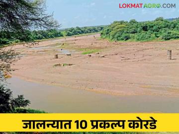 Water Storage : जालना जिल्ह्यात केवळ २ टक्के उपयुक्त पाणी साठा - Marathi News | Water Storage : Only 2 percent usable water storage in Jalna district | Latest News at Lokmat.com Water Storage : जालना जिल्ह्यात केवळ २ टक्के उपयुक्त पाणी साठा - Marathi News | Water Storage : Only 2 percent usable water storage in Jalna district | Latest News at Lokmat.com
