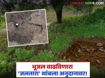 Jaltara Project : शेतकऱ्यांनी खणले खड्डे; प्रशासनाने ठेवले अनुदान थकबाकी? - Marathi News | latest news Jaltara Project: Farmers dug holes, administration kept subsidy arrears? | Latest News at Lokmat.com Jaltara Project : शेतकऱ्यांनी खणले खड्डे; प्रशासनाने ठेवले अनुदान थकबाकी? - Marathi News | latest news Jaltara Project: Farmers dug holes, administration kept subsidy arrears? | Latest News at Lokmat.com