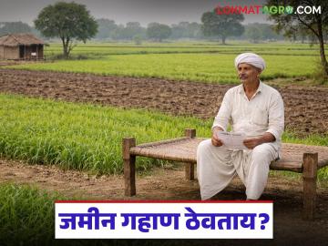 जमीन गहाण ठेवताना या गोष्टी लक्षात ठेवा, अन्यथा जमीन हातातून गेली म्हणून समजा! - Marathi News | Latest News Jamin Gahan Keep these things in mind when mortgaging land for loan, otherwise land lost! | Latest News at Lokmat.com