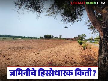 एका जमिनीत किती हिस्सेधारक; विभाजन रेकॉर्ड तयार होणार, राज्य सरकारकडून अध्यादेश जारी  - Marathi News | Latest news Samaik Satbara How many share holders of land; Partition record to be prepared, ordinance issued by state government | Latest News at Lokmat.com