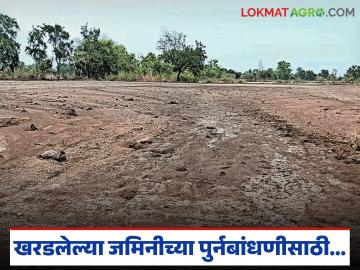 पावसानं जमीन खरडली, सरकारकडून माती-गाळ, मुरूम मोफत मिळतंय, वाचा सविस्तर  - Marathi News | Latest News Free soil, silt, and manure for farmers whose land was damaged due to natural disasters | Latest News at Lokmat.com