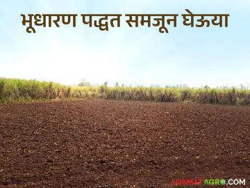 Bhogwatdar Jamin Kharedi : भोगवटादार वर्ग 2 च्या जमिनी खरेदी-विक्री करता येतात का? वाचा सविस्तर  - Marathi News | Latest News Bhogwatdar Jamin Kharedi Can Occupier Class 2 lands be bought and sold Read in detail | Latest News at Lokmat.com Bhogwatdar Jamin Kharedi : भोगवटादार वर्ग 2 च्या जमिनी खरेदी-विक्री करता येतात का? वाचा सविस्तर  - Marathi News | Latest News Bhogwatdar Jamin Kharedi Can Occupier Class 2 lands be bought and sold Read in detail | Latest News at Lokmat.com