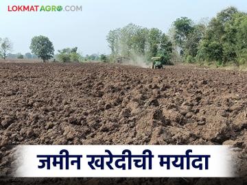 Jamin Kharedi : महाराष्ट्रातील एक शेतकरी जास्तीत जास्त किती जमीन खरेदी करू शकतो? वाचा सविस्तर - Marathi News | Latest News Jamin Kharedi Niyam How much land can farmer in Maharashtra buy Read in detail | Latest News at Lokmat.com Jamin Kharedi : महाराष्ट्रातील एक शेतकरी जास्तीत जास्त किती जमीन खरेदी करू शकतो? वाचा सविस्तर - Marathi News | Latest News Jamin Kharedi Niyam How much land can farmer in Maharashtra buy Read in detail | Latest News at Lokmat.com