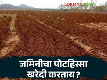 कोणत्याही जमिनीचा पोटहिस्सा खरेदी करताय? आता राज्य शासनाचा हा नवा नियम; वाचा सविस्तर - Marathi News | Buying a sub-plot of any land? Now this is the new rule of the state government; Read in detail | Latest News at Lokmat.com