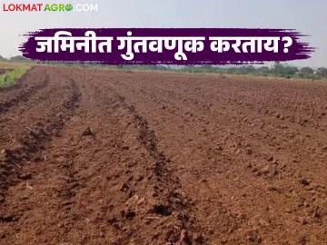 जमीन गुंतवणूकीत अधिक परतावा हवा असेल तर खरेदी करताना 'ह्या' चार बाबी अवश्य पहा - Marathi News | If you want a higher return on your investment in land, then you must consider these four things while buying it | Latest News at Lokmat.com