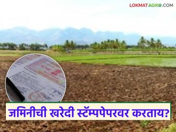 Jamin Kharedi Khat : जमिनीचे खरेदीखत स्टॅम्प पेपरवर करता येते का, कोर्टात चालते का? वाचा सविस्तर  - Marathi News | Latest News kharedi Khat Can land kharedi khat be done on stamp paper, valid in court Read in detail | Latest News at Lokmat.com