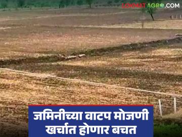 Pot Hissa Mojani Fees : शेतकऱ्यांसाठी दिलासा! आता जमिनीच्या वाटप मोजणी खर्चात होणार बचत वाचा सविस्तर - Marathi News | latest news Pot Hissa Mojani Fees: Relief for farmers! Now there will be savings in land allotment calculation costs. Read in detail | Latest News at Lokmat.com