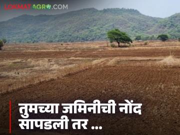 Jamin Kharedi : तुमच्याकडे जमीन नाही पण नोंद सापडली तर जमीन नावावर होऊ शकते का? - Marathi News | Latest News Jamin Kharedi and record is found, land can be registered on satbara with name | Latest News at Lokmat.com Jamin Kharedi : तुमच्याकडे जमीन नाही पण नोंद सापडली तर जमीन नावावर होऊ शकते का? - Marathi News | Latest News Jamin Kharedi and record is found, land can be registered on satbara with name | Latest News at Lokmat.com