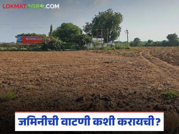 जमिनीची वाटणी म्हणजे खातेवाटप कसे करायचे, हरकत असल्यास काय करावे? वाचा सविस्तर  - Marathi News | Latest News jamin khate vatap satbara How to divided Land see details | Latest smart-farming News at Lokmat.com