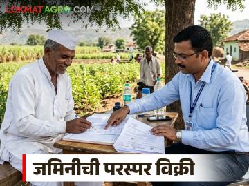 जर तुमच्या जमिनीची परस्पर विक्री झाली असेल, तर.. विक्रीपत्र रद्द कसं करायचं, वाचा संपूर्ण प्रक्रिया  - Marathi News | Latest News Jamin Kharedi Vikri How to handle unauthorized land sales—and how to cancel them | Latest News at Lokmat.com