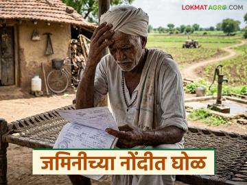 जमिनीच्या नोंदीतील घोळ कशामुळे होतो, सातबारा दुरुस्तीसाठी काय करावे, वाचा सविस्तर 