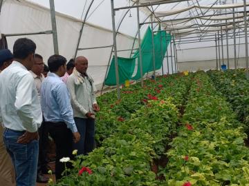 अल्पभूधारक राहुल किटुकले दरमहा ६० हजाराचे उत्पन्न कसे मिळवतात? - Marathi News | How does a smallholder Rahul Kitukle earn an income of 60 thousand per month? | Latest News at Lokmat.com