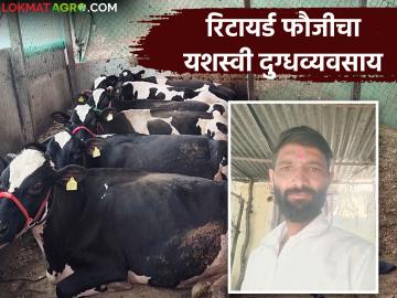 निवृत्त सैनिकाने दुग्ध व्यवसायातून साधली आर्थिक समृद्धता; दूध, शेणातून होतेय नऊ लाखांची कमाई - Marathi News | Retired soldier achieves financial prosperity through dairy business; earns nine lakhs from milk, cow dung | Latest News at Lokmat.com