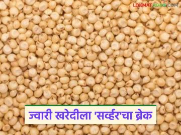 Jwari Kharedi: 'सर्व्हर डाऊन'मुळे शासकीय ज्वारी खरेदी ठप्प; शेतकऱ्यांचं काय होणार? वाचा सविस्तर - Marathi News | latest news Jwari Kharedi: Government jowar Kharedi halted due to 'server down'; What will happen to farmers? Read in detail | Latest News at Lokmat.com Jwari Kharedi: 'सर्व्हर डाऊन'मुळे शासकीय ज्वारी खरेदी ठप्प; शेतकऱ्यांचं काय होणार? वाचा सविस्तर - Marathi News | latest news Jwari Kharedi: Government jowar Kharedi halted due to 'server down'; What will happen to farmers? Read in detail | Latest News at Lokmat.com