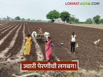 Jowar sowing : ओलावा, ऊन आणि आशा; रब्बी हंगामात बळीराजाचा नवा विश्वास! - Marathi News | latest news Jowar Sowing: Moisture, heat and hope; Baliraja's new faith in the Rabi season! | Latest News at Lokmat.com