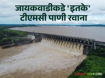 Jayakwadi Dam : आतापर्यंत नाशिकहून 34 टीएमसी पाणी सोडले, जायकवाडी किती भरलं?  - Marathi News | Latest News Jayakwadi Dam 34 tmc of water discharged from Nashik gangapur dam | Latest News at Lokmat.com