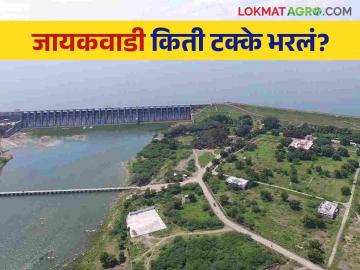 Jayakwadi Dam : जायकवाडी धरण 95 टक्के भरलं, कोणत्याही क्षणी विसर्ग, जाणून घ्या सविस्तर  - Marathi News | Latest News Jayakvadi Dam 93 percent full, discharge at any moment, know details  | Latest News at Lokmat.com