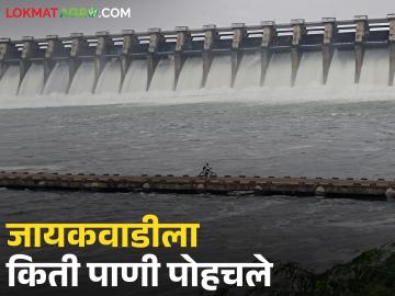 Jayakwadi Dam : जायकवाडीत 77 टीएमसी पाणी जमा, नाशिकहून किती क्युसेक पाणी गेले? - Marathi News | Latest news Maharashtra dam Storage 77 TMC of water accumulated in Jayakwadi from nashik dams | Latest News at Lokmat.com