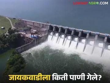 Nashik Dam Storage : नाशिकहून आतापर्यंत 40 टीएमसी पाणी सोडले, जायकवाडी किती भरले?  - Marathi News | Latest News Jayakwadi Dam 40 TMC of water has been released from Nashik so far, see Jayakwadi dam storage | Latest News at Lokmat.com