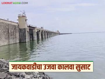 Jayakawadi dam : सिंचनक्षेत्रात जलक्रांती: जायकवाडीचा उजवा कालवा आता होणार 'सुपरफास्ट' वाचा सविस्तर - Marathi News | Jayakawadi dam: latest news Water revolution in irrigation sector: Jayakawadi's right canal will now be 'superfast' Read in detail | Latest News at Lokmat.com Jayakawadi dam : सिंचनक्षेत्रात जलक्रांती: जायकवाडीचा उजवा कालवा आता होणार 'सुपरफास्ट' वाचा सविस्तर - Marathi News | Jayakawadi dam: latest news Water revolution in irrigation sector: Jayakawadi's right canal will now be 'superfast' Read in detail | Latest News at Lokmat.com