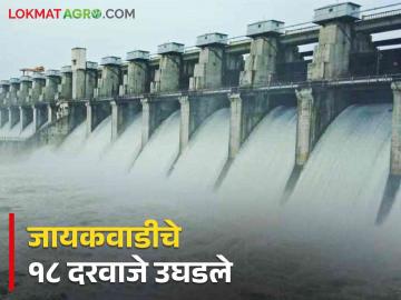 Jayakwadi Dam: जायकवाडीतून 'इतके' हजार क्युसेक विसर्ग; सिद्धेश्वर मंदिरात शिरले पाणी - Marathi News | Jayakwadi Dam: 'So many' thousand cusecs discharge from Jayakwadi; Water entered the Siddheshwar temple | Latest News at Lokmat.com