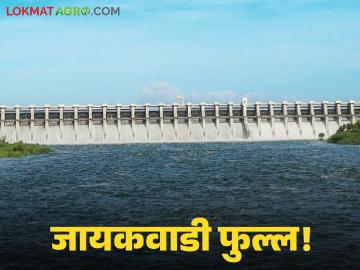 Jayakwadi Dam Water Release : धरण ओसंडले! जायकवाडीमधून २८ हजार क्युसेक विसर्ग वाचा सविस्तर - Marathi News | latest news Jayakwadi Dam Water Release: Dam overflowed! 28 thousand cusecs released from Jayakwadi Read in detail | Latest News at Lokmat.com