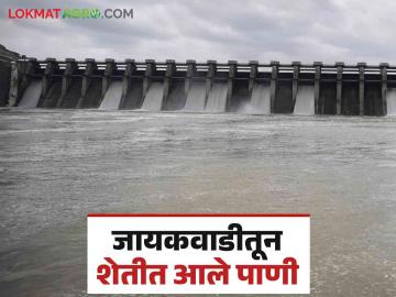 Jayakawadi Dam Water : जायकवाडीतून दीड लाख हेक्टर जमिनीचे सिंचन; रब्बी आणि उन्हाळी पिकांना होणार फायदा - Marathi News | Jayakawadi Dam Water : Irrigation of one and a half lakh hectares of land from Jayakawadi; Rabi and summer crops will benefit | Latest News at Lokmat.com