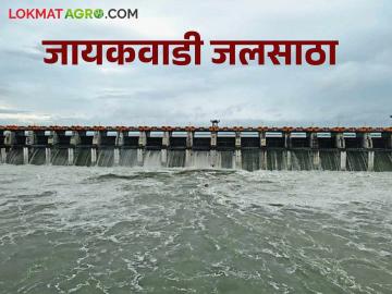 Jayakwadi Dam : जायकवाडी धरणात पाण्याची जोरदार आवक वाचा सविस्तर - Marathi News | latest news Jayakwadi Dam: Heavy inflow of water into Jayakwadi Dam Read in detail | Latest News at Lokmat.com Jayakwadi Dam : जायकवाडी धरणात पाण्याची जोरदार आवक वाचा सविस्तर - Marathi News | latest news Jayakwadi Dam: Heavy inflow of water into Jayakwadi Dam Read in detail | Latest News at Lokmat.com