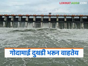 Jayakwadi Dam Update : गोदामाई दुथडी भरून वाहतेय; जाणून घ्या जायकवाडीचा जलसाठा सविस्तर - Marathi News | latest news Jayakwadi Dam Update: Godavari river is overflowing; Know the water storage of Jayakwadi in detail | Latest News at Lokmat.com Jayakwadi Dam Update : गोदामाई दुथडी भरून वाहतेय; जाणून घ्या जायकवाडीचा जलसाठा सविस्तर - Marathi News | latest news Jayakwadi Dam Update: Godavari river is overflowing; Know the water storage of Jayakwadi in detail | Latest News at Lokmat.com