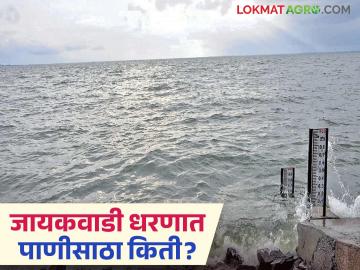 Jayakawadi Dam Water : जायकवाडी धरणात पाणीसाठा किती? जाणून घ्या सविस्तर - Marathi News | Jayakwadi Dam Water: latest news How much water is stored in Jayakwadi Dam? Know in detail | Latest News at Lokmat.com Jayakawadi Dam Water : जायकवाडी धरणात पाणीसाठा किती? जाणून घ्या सविस्तर - Marathi News | Jayakwadi Dam Water: latest news How much water is stored in Jayakwadi Dam? Know in detail | Latest News at Lokmat.com