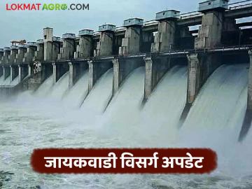 Jayakwadi Dam Water : जायकवाडी धरण ९६% भरले; १८ दरवाजांतून किती होतोय विसर्ग जाणून घ्या सविस्तर - Marathi News | latest news Jayakwadi Dam Water: Jayakwadi Dam 96% full; Know in detail how much is being released through 18 gates | Latest News at Lokmat.com