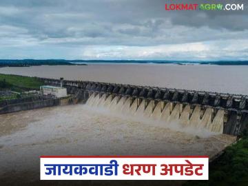Jayakwadi Dam Water Discharge: जायकवाडी धरण अपडेट; धरणातून विसर्गात घट वाचा सविस्तर - Marathi News | latest news Jayakwadi Dam Water Discharge: Jayakwadi Dam Update; Read in detail about the decrease in discharge from the dam | Latest News at Lokmat.com Jayakwadi Dam Water Discharge: जायकवाडी धरण अपडेट; धरणातून विसर्गात घट वाचा सविस्तर - Marathi News | latest news Jayakwadi Dam Water Discharge: Jayakwadi Dam Update; Read in detail about the decrease in discharge from the dam | Latest News at Lokmat.com