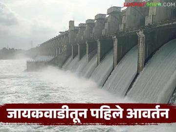 Jayakwadi Dam Water Release : शेतकऱ्यांसाठी आनंदवार्ता; रब्बी व उन्हाळी पिकांना तीन आवर्तनांचा निर्णय वाचा सविस्तर - Marathi News | latest news Jayakwadi Dam Water Release: Good news for farmers; Decision on three rounds for Rabi and summer crops Read in detail | Latest News at Lokmat.com
