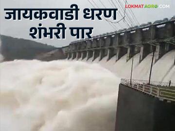 Jayakwadi Dam Water level : जायकवाडीचे १० दरवाजे उघडले; गोदापात्रात विसर्ग सुरू - Marathi News | Jaykawadi Dam Water level : 10 gates of Jaykawadi opened; Discharge begins in Godapatra | Latest News at Lokmat.com