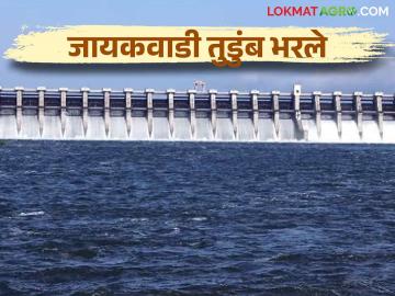 Jayakwadi Dam : मराठवाड्यातील धरणे भरली; रब्बी पिकांचा पाणी प्रश्न मिटला - Marathi News | Jayakwadi Dam : Water problem of rabi crops is solved | Latest News at Lokmat.com