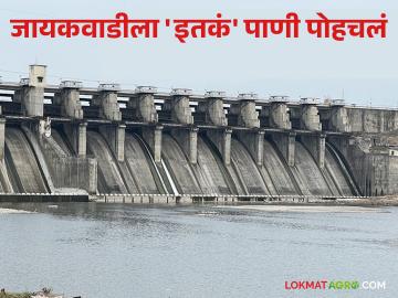 Nashik Dam Storage : गंगापूर धरणात 95 टक्के पाणीसाठा, तर जायकवाडीला 'इतकं' पाणी पोहचलं, वाचा सविस्तर - Marathi News | Latest News Nashik Dam Storage 95 percent water storage in Gangapur Dam 42 tmc water sent to jayakwadi read in detail | Latest News at Lokmat.com Nashik Dam Storage : गंगापूर धरणात 95 टक्के पाणीसाठा, तर जायकवाडीला 'इतकं' पाणी पोहचलं, वाचा सविस्तर - Marathi News | Latest News Nashik Dam Storage 95 percent water storage in Gangapur Dam 42 tmc water sent to jayakwadi read in detail | Latest News at Lokmat.com