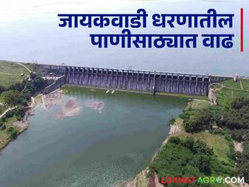 Jayakwadi Dam : खुशखबरः जायकवाडीत ४० हजार क्युसेकने पाण्याची आवक - Marathi News | Jayakwadi Dam: Good news: 40 thousand cusecs of water inflow in Jayakwadi | Latest News at Lokmat.com Jayakwadi Dam : खुशखबरः जायकवाडीत ४० हजार क्युसेकने पाण्याची आवक - Marathi News | Jayakwadi Dam: Good news: 40 thousand cusecs of water inflow in Jayakwadi | Latest News at Lokmat.com