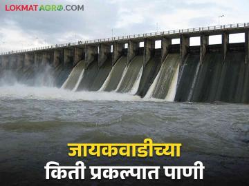 Jayakwadi Dam Discharge : जायकवाडी धरणात किती आले पाणी; किती प्रकल्प भरले? वाचा सविस्तर  - Marathi News | Jayakwadi Dam Discharge: How much water was released in Jayakwadi Dam; How many projects are filled?   Read in detail  | Latest News at Lokmat.com